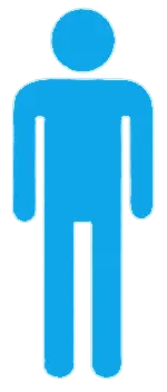 245.617